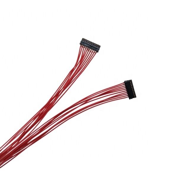 JST XSR 0.6mm Pitch 10-Pin Custom Wire Harness with Customized Length for Electronic Applications