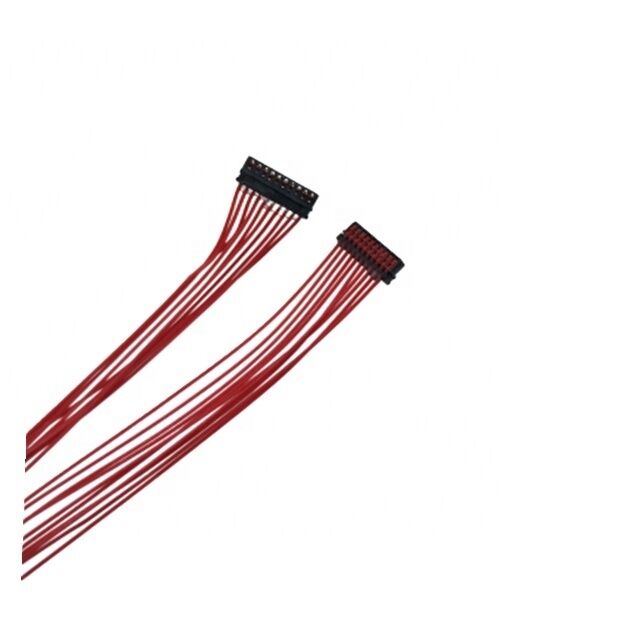 JST XSR 0.6mm Pitch 10-Pin Custom Wire Harness with Customized Length for Electronic Applications